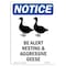 Signmission OSHA Sign, 10" H, Rigid Plastic, Be Alert Nesting And Sign With Symbol, Portrait, V-10315 OS-NS-P-710-V-10315 - alternate 1